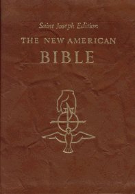 New American Bible Brown Leather