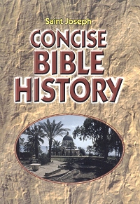 Concise Bible History