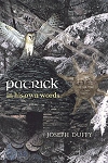 Patrick in His Own Words - In His Own Words