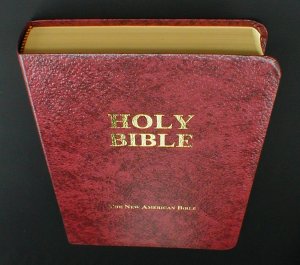 Study Edition Of The New American Bible