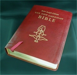Large Type New American Bible