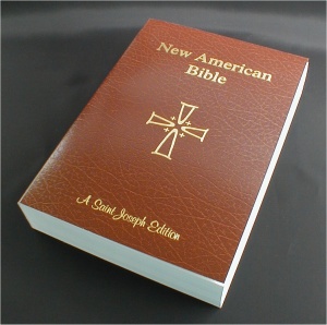 Giant Print New American Bible