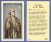 St Peter Novena Holy Card