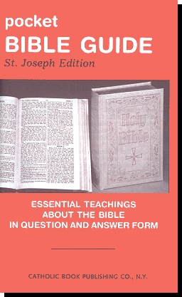 Pocket Bible Guide - Essential Teachings About The Bible In Question And Answer Form