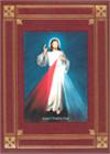 Catholic Family Bible, Revised Standard Version, Divine Mercy Ed., # 95703